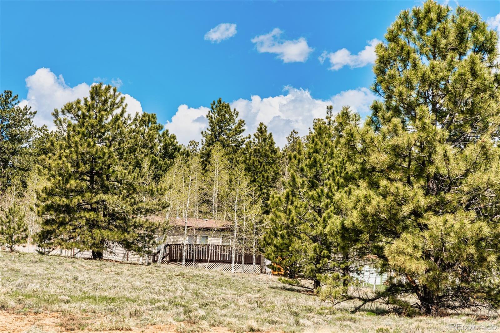 152 Wagon Wheel Road Hartsel, CO 80449 - Photo 15 of 40 Gallery Image 15