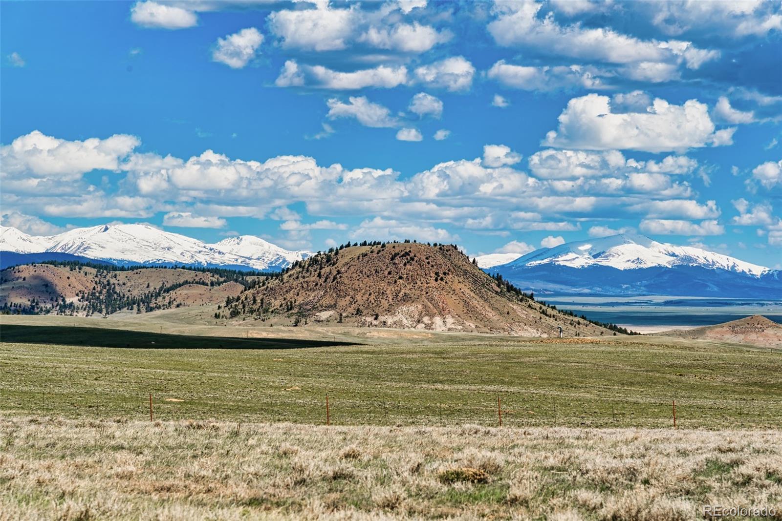 152 Wagon Wheel Road Hartsel, CO 80449 - Photo 16 of 40 Gallery Image 16