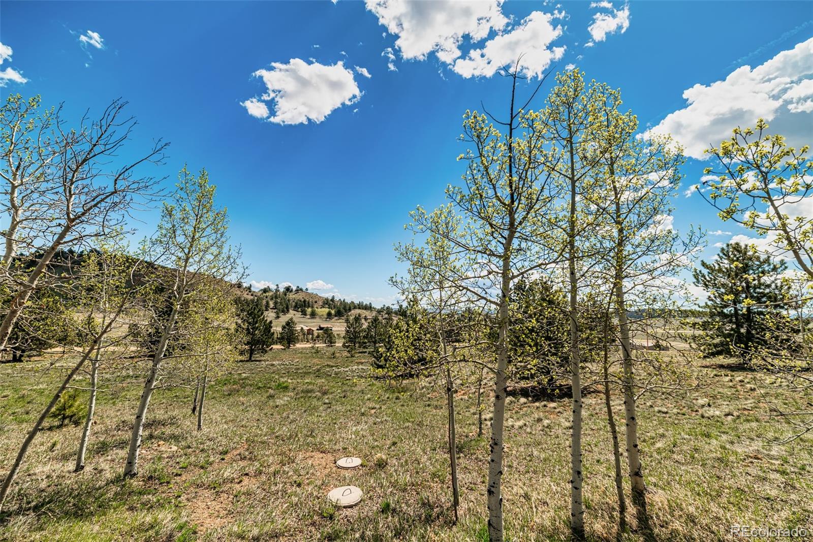 152 Wagon Wheel Road Hartsel, CO 80449 - Photo 17 of 40 Gallery Image 17