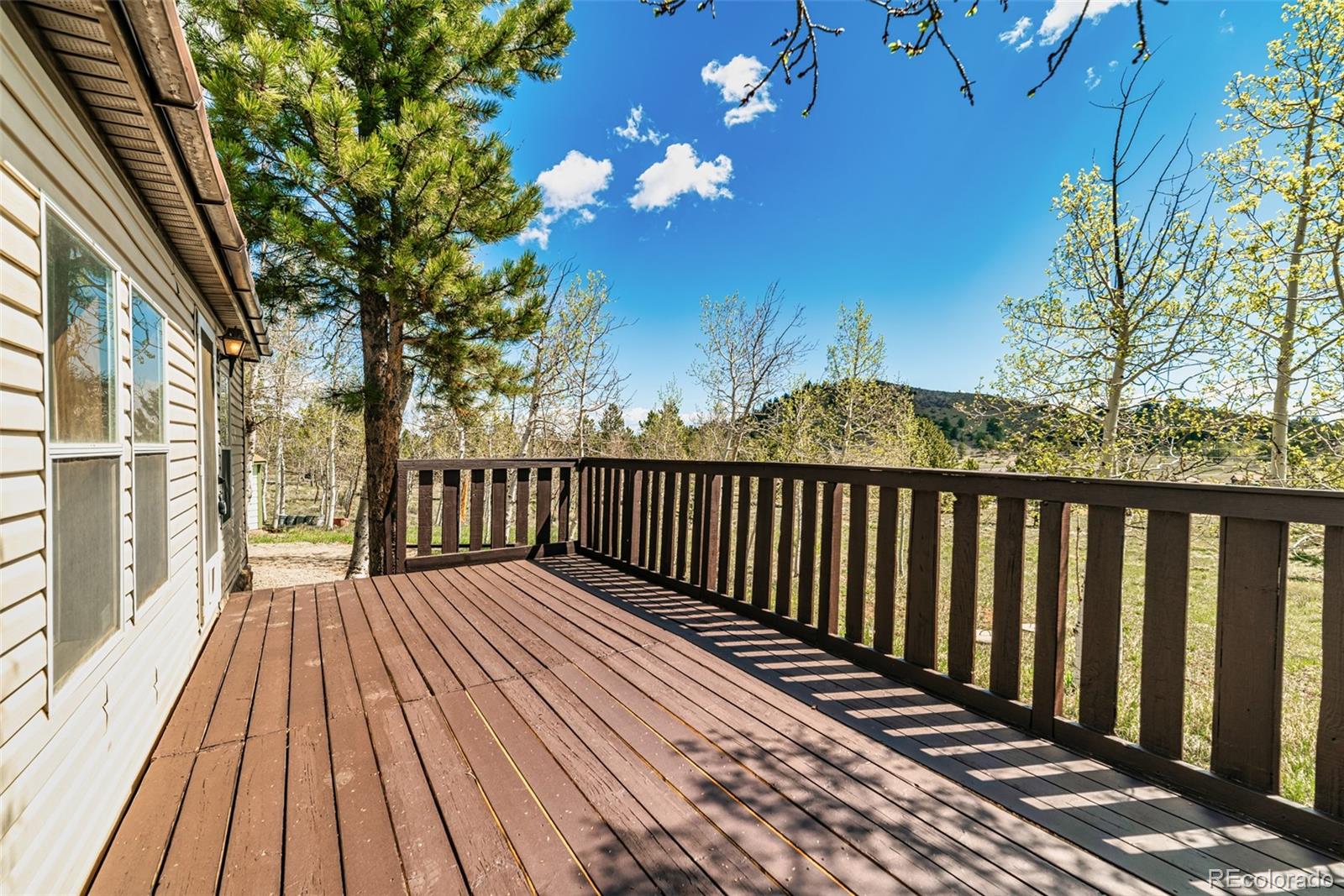 152 Wagon Wheel Road Hartsel, CO 80449 - Photo 19 of 40 Gallery Image 19