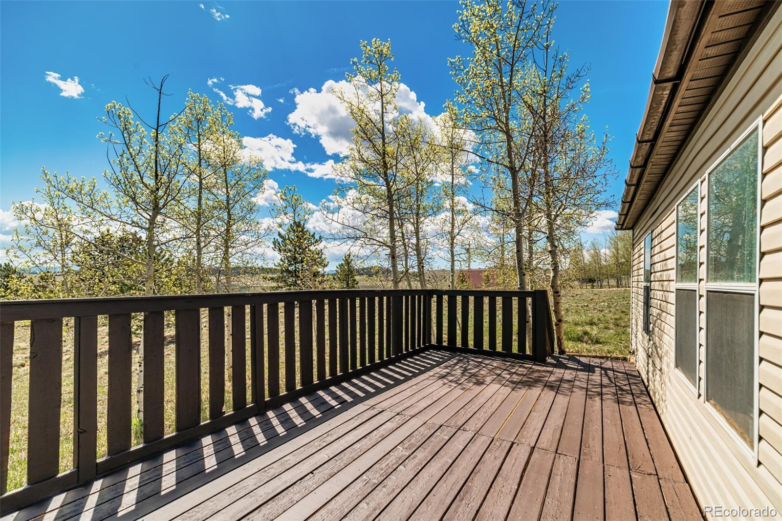152 Wagon Wheel Road Hartsel, CO 80449 - Photo 20 of 40 Gallery Image 20
