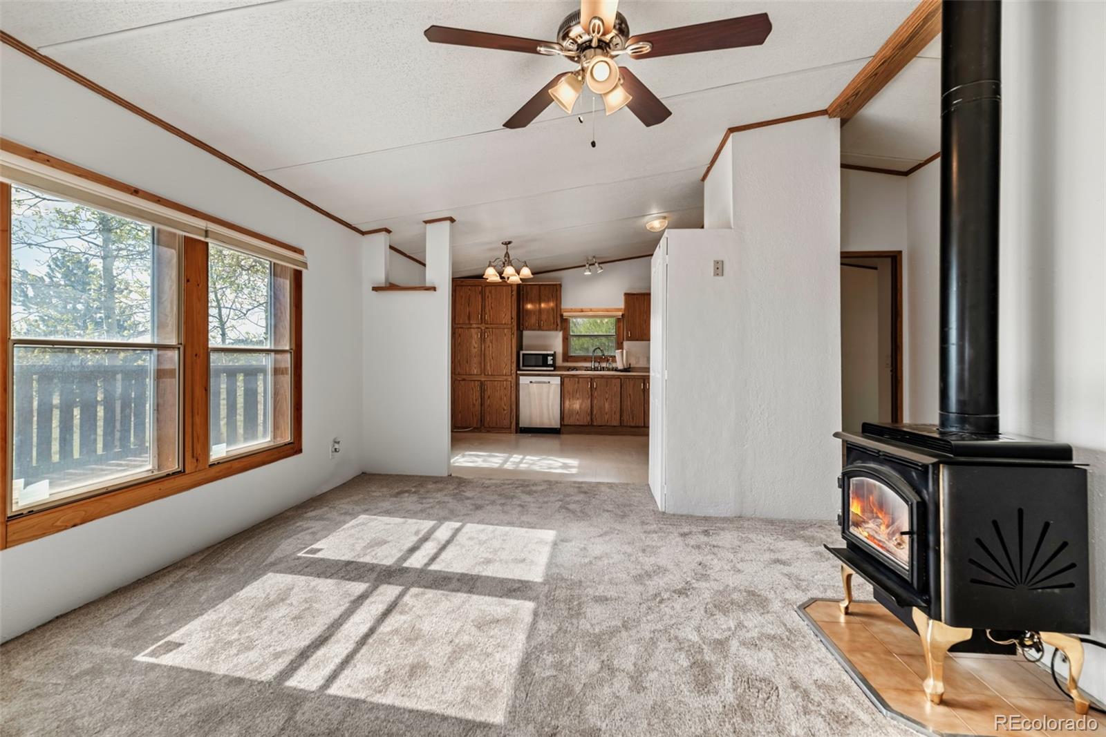 152 Wagon Wheel Road Hartsel, CO 80449 - Photo 23 of 40 Gallery Image 23