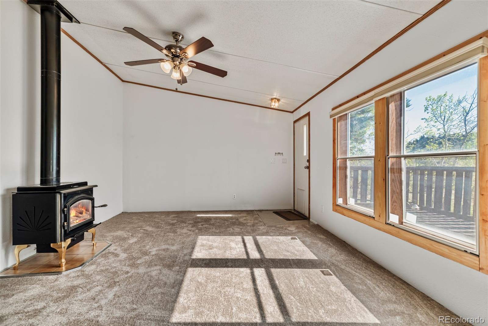 152 Wagon Wheel Road Hartsel, CO 80449 - Photo 24 of 40 Gallery Image 24