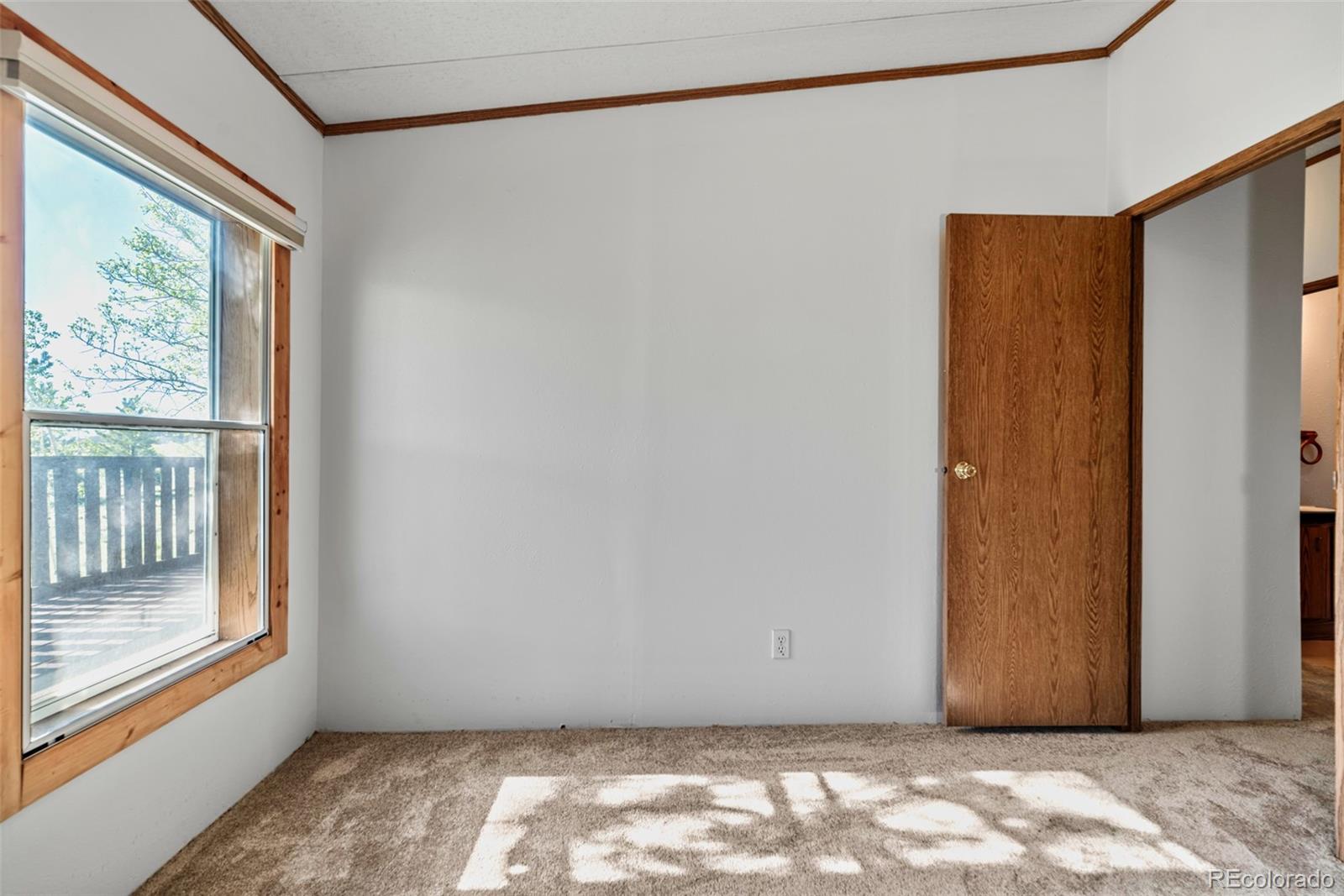 152 Wagon Wheel Road Hartsel, CO 80449 - Photo 27 of 40 Gallery Image 27