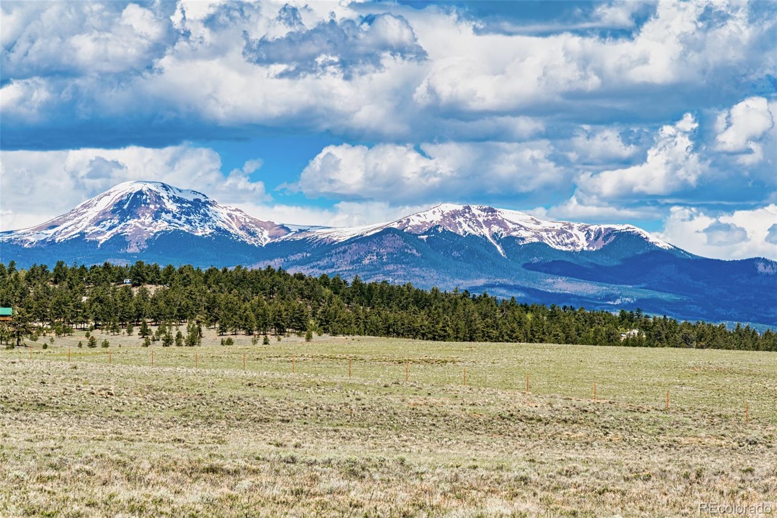 152 Wagon Wheel Road Hartsel, CO 80449 - Photo 4 of 40 Gallery Image 4