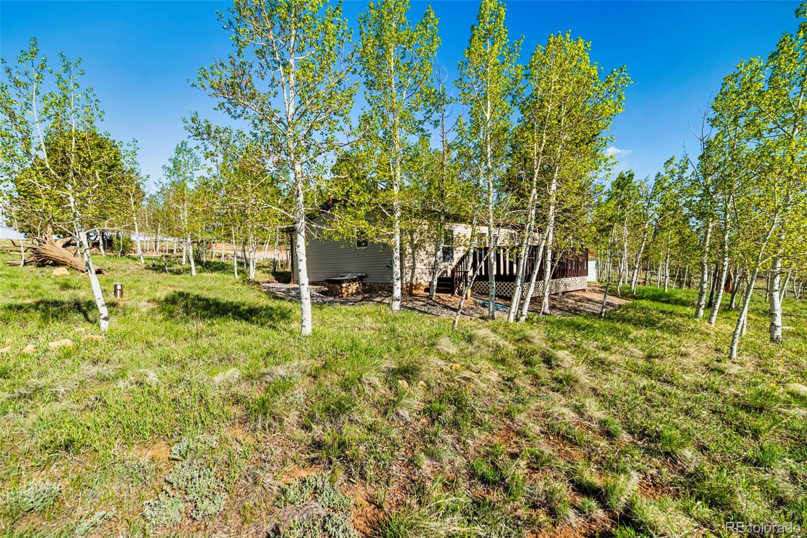152 Wagon Wheel Road Hartsel, CO 80449 - Photo 8 of 40 Gallery Image 8