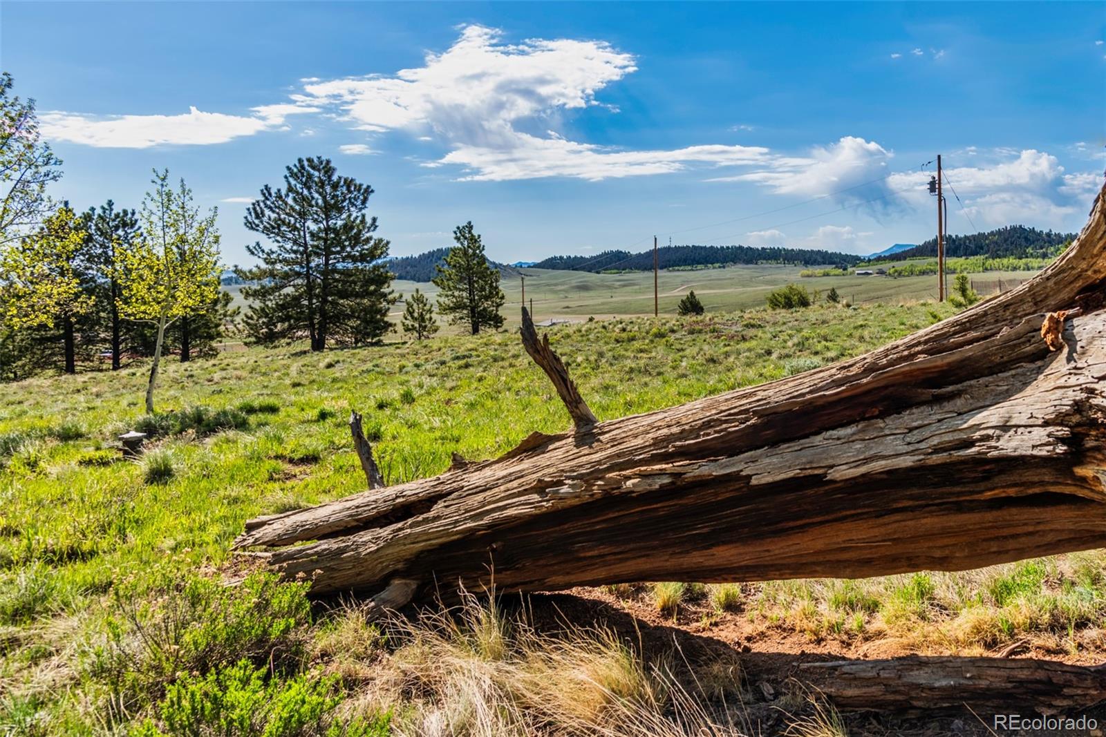 152 Wagon Wheel Road Hartsel, CO 80449 - Photo 9 of 40 Gallery Image 9