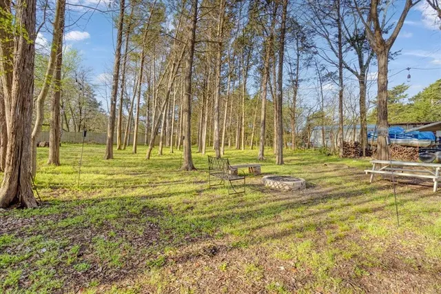 a view of a park with large trees