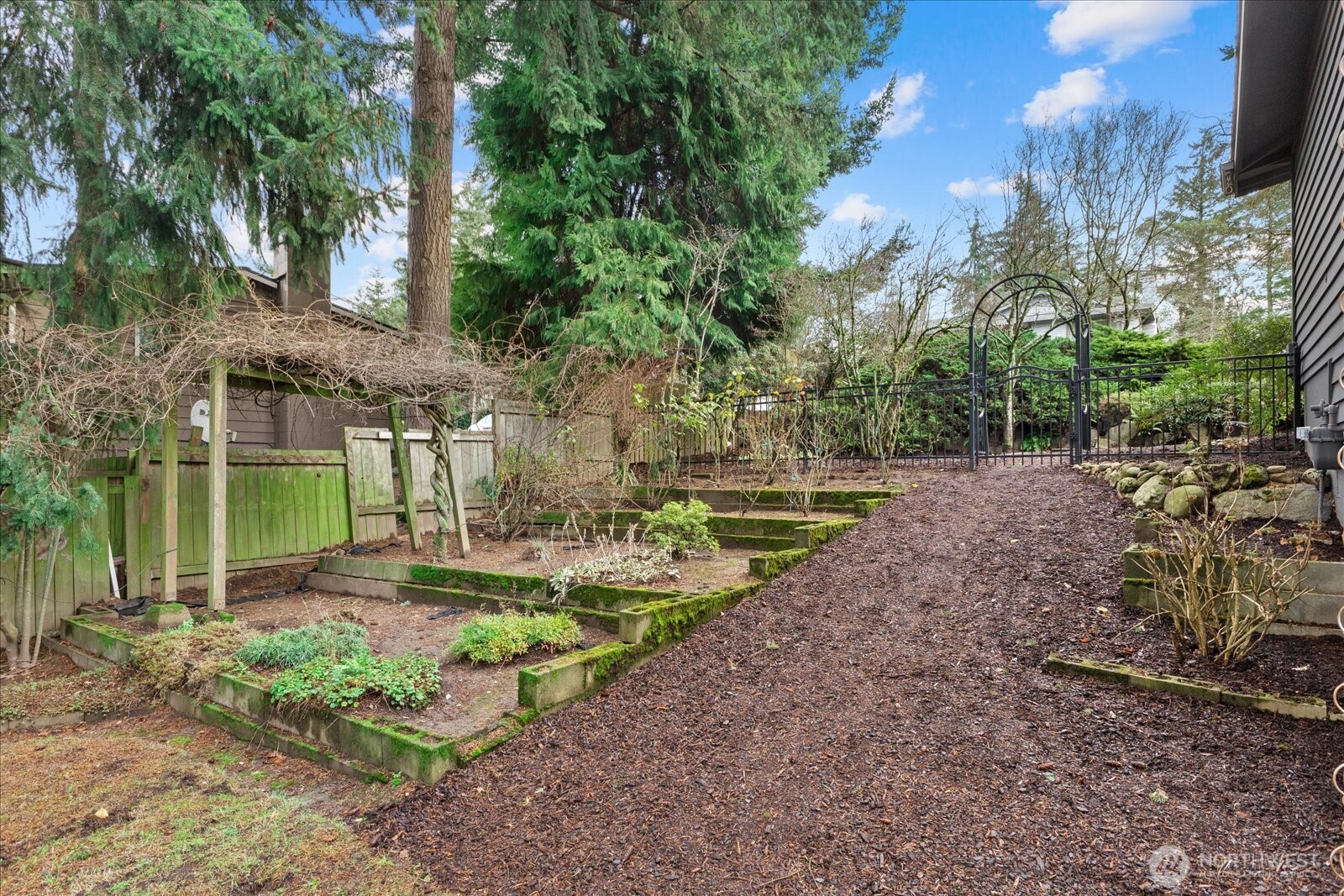 34515 25th Avenue Southwest Federal Way, WA 98023 - Photo 25 of 31 a view of a yard with plants and a slide