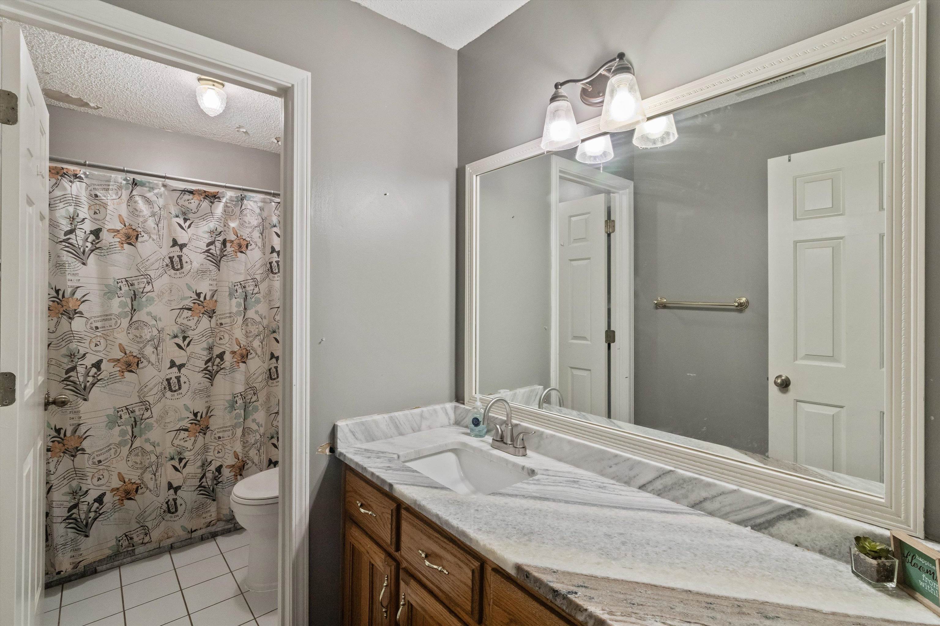 6712 Booth Forrest Drive Bartlett, TN 38135 - Photo 22 of 27 a bathroom with a sink a toilet and shower