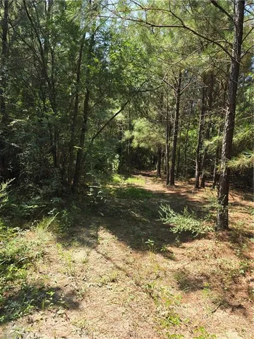 $137,000 | 0 Weinberger Road, Ponchatoula, LA 70454