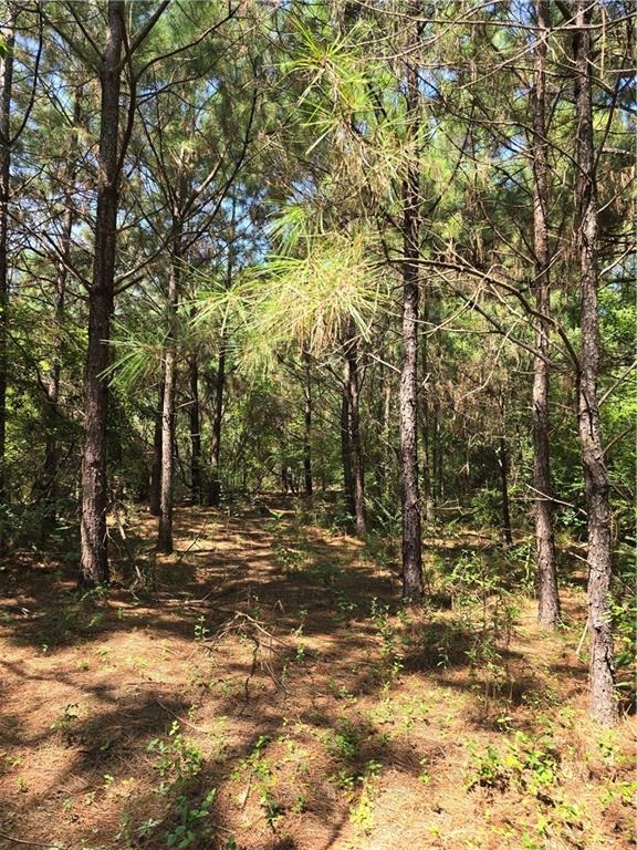 0 Weinberger Road Ponchatoula, LA 70454 - Photo 2 of 5