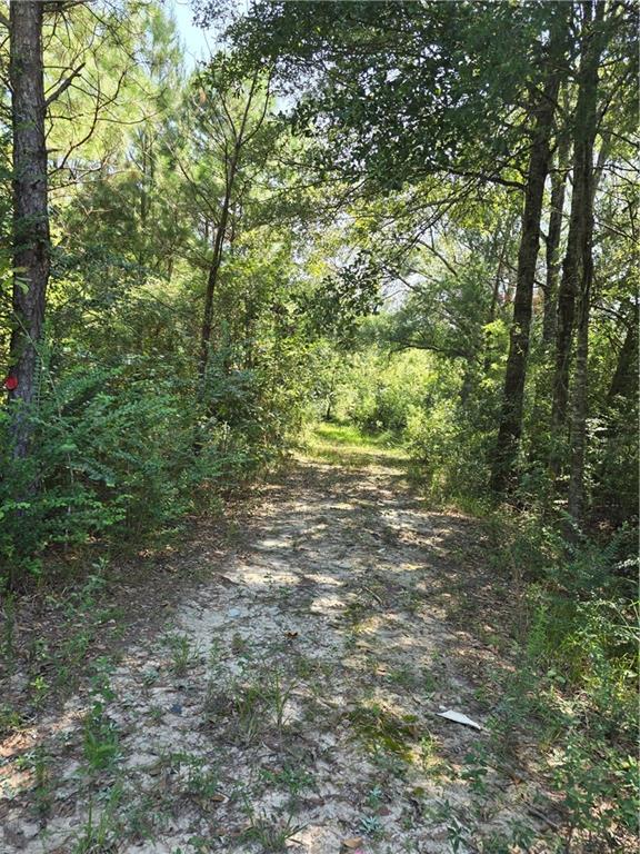 0 Weinberger Road Ponchatoula, LA 70454 - Photo 3 of 5