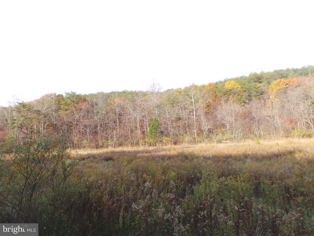 Mesner Road Berkeley Springs, WV 25411 - Photo 1 of 8