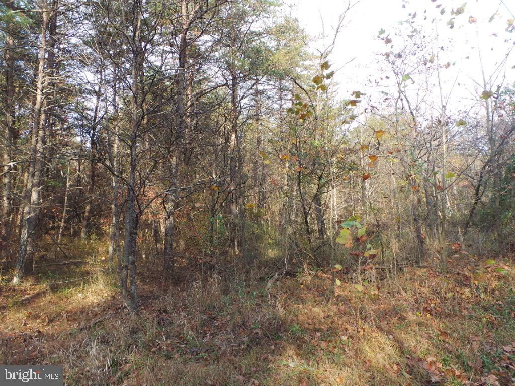Mesner Road Berkeley Springs, WV 25411 - Photo 2 of 8