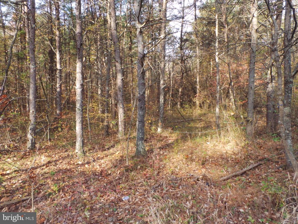 Mesner Road Berkeley Springs, WV 25411 - Photo 3 of 8