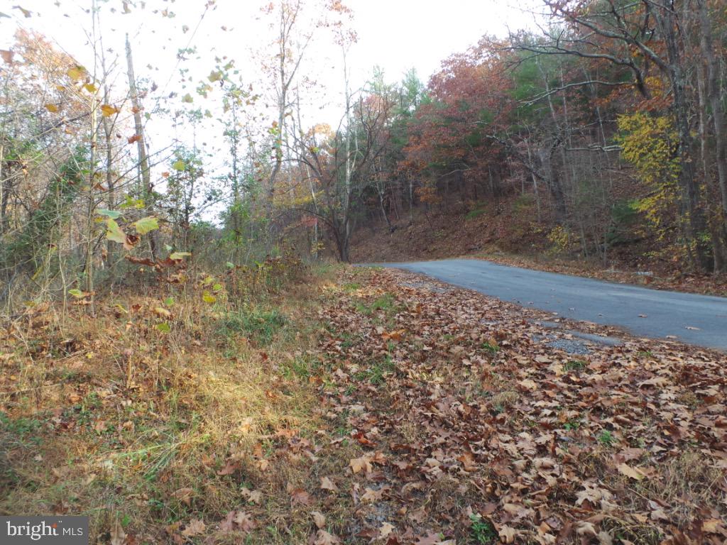 Mesner Road Berkeley Springs, WV 25411 - Photo 4 of 8