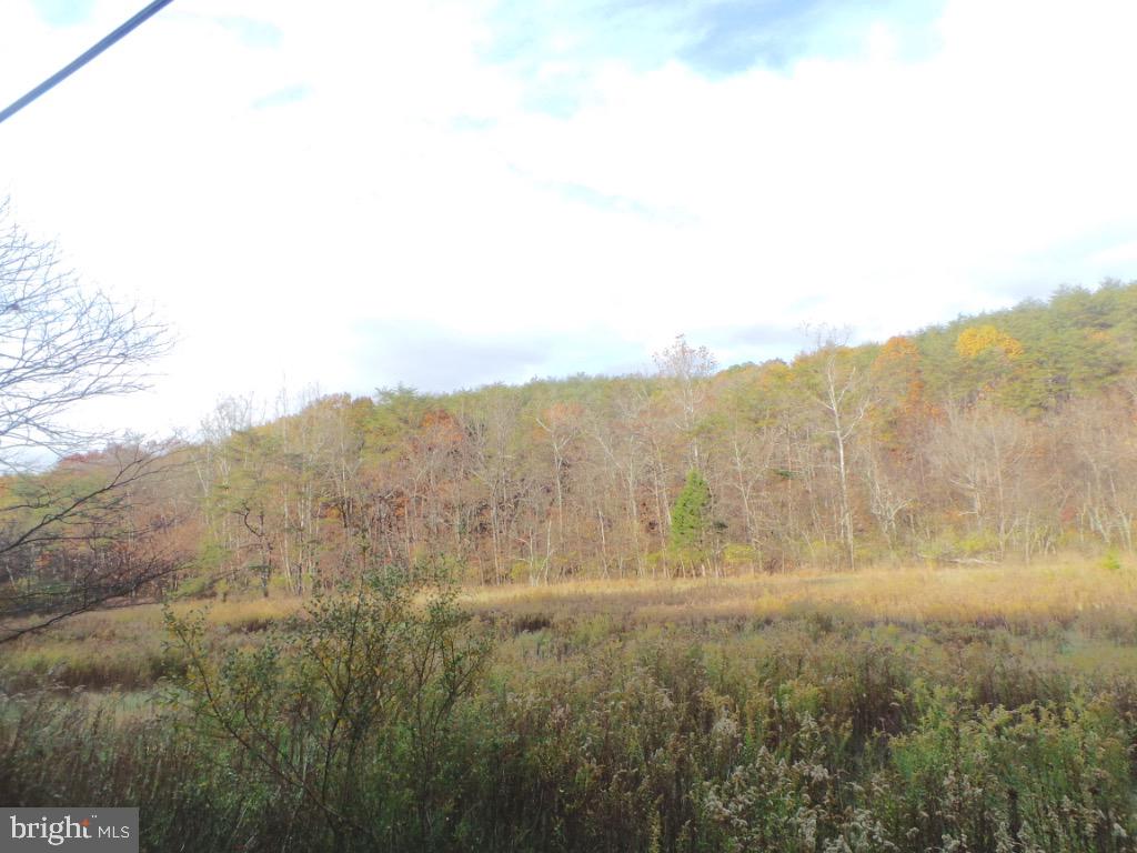 Mesner Road Berkeley Springs, WV 25411 - Photo 6 of 8