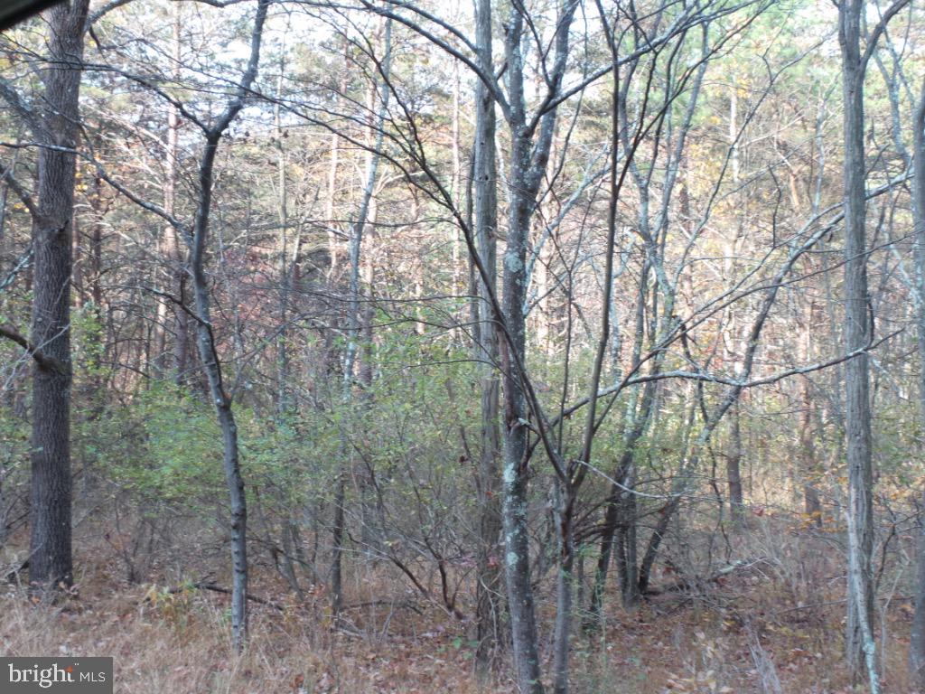 Mesner Road Berkeley Springs, WV 25411 - Photo 8 of 8