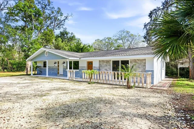 a view of a yard with plants and trees