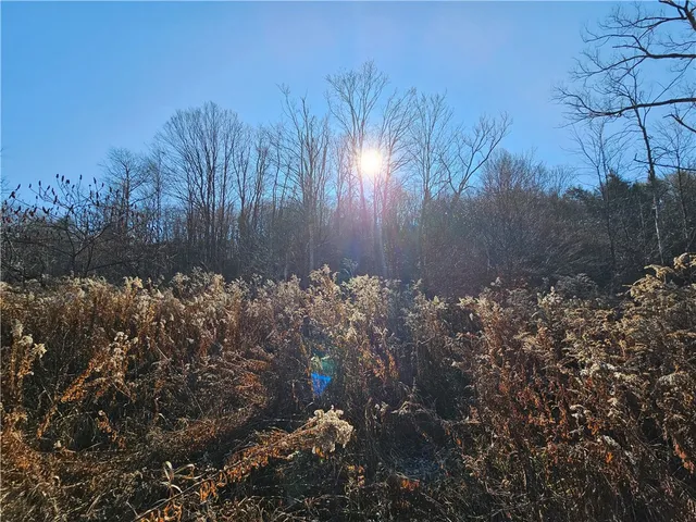 $60,000 | 1310 County Road 16, Beaver Dams, NY 14812