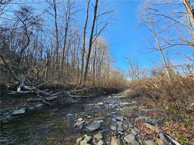 $60,000 | 1310 County Road 16, Beaver Dams, NY 14812