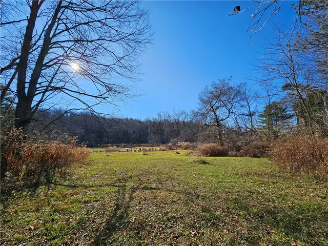 $60,000 | 1310 County Road 16, Beaver Dams, NY 14812
