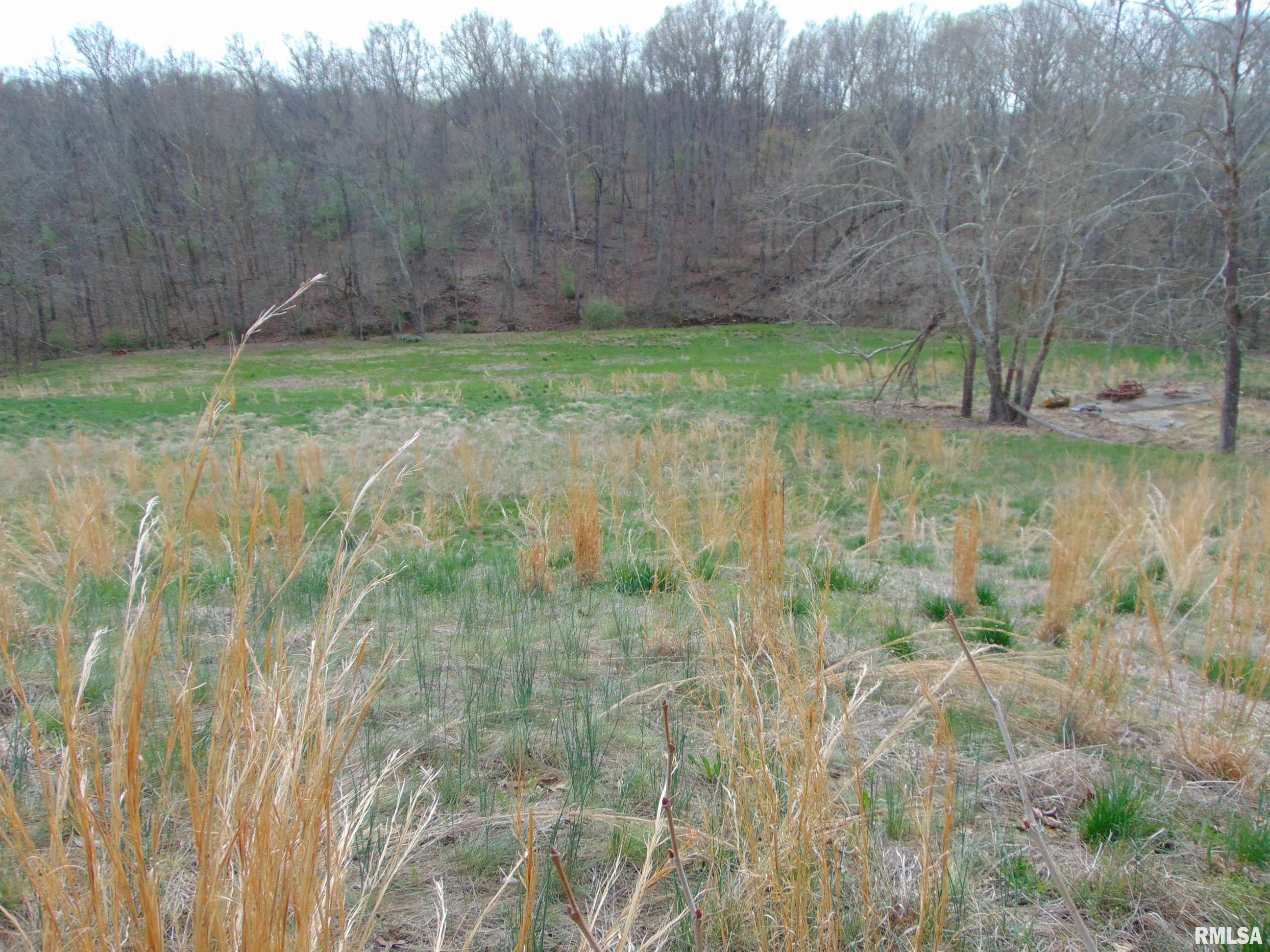 146 Spivey Road Herod, IL 62947 - Photo 3 of 13 Gallery Image 3