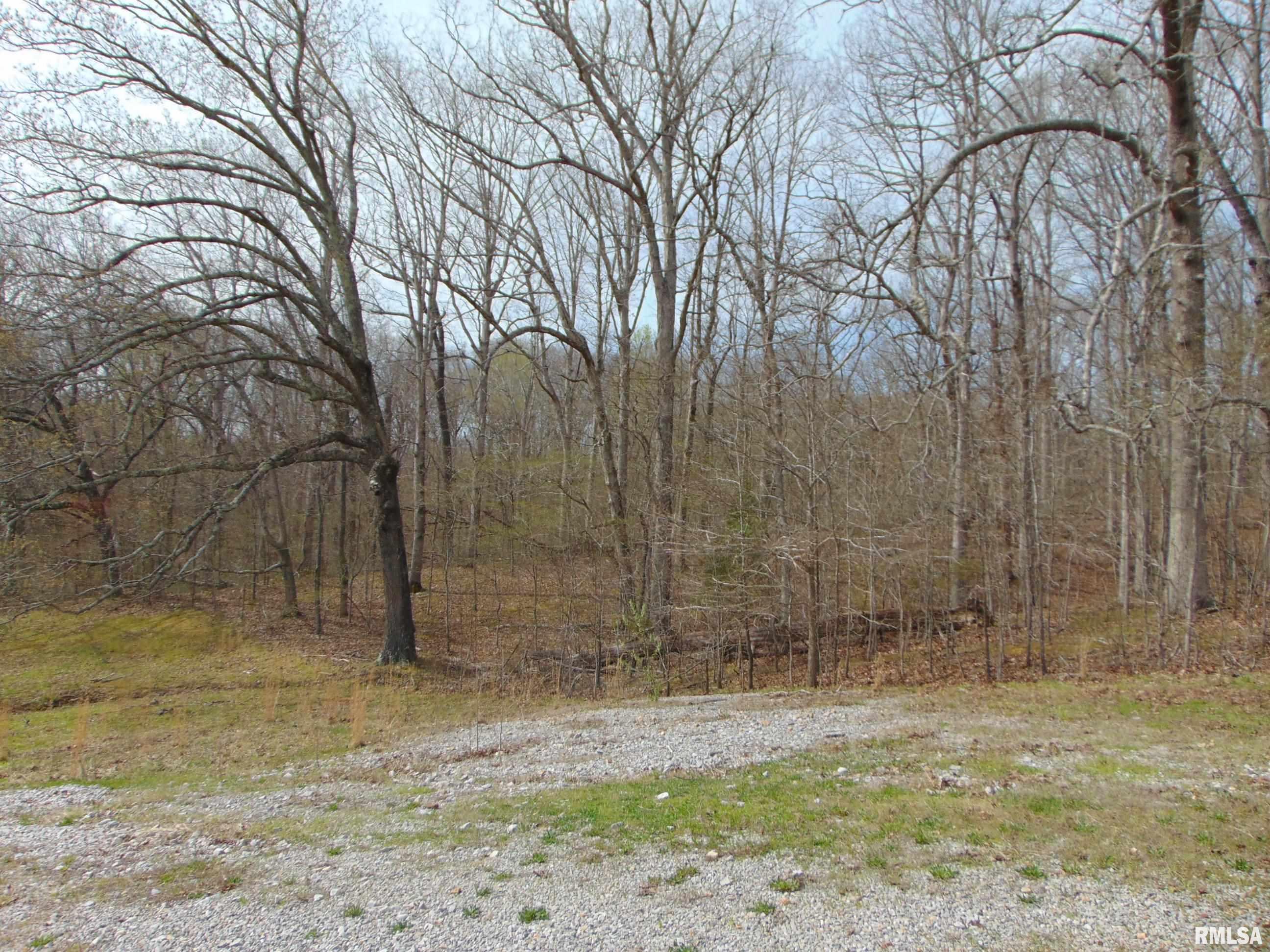 146 Spivey Road Herod, IL 62947 - Photo 4 of 13 Gallery Image 4