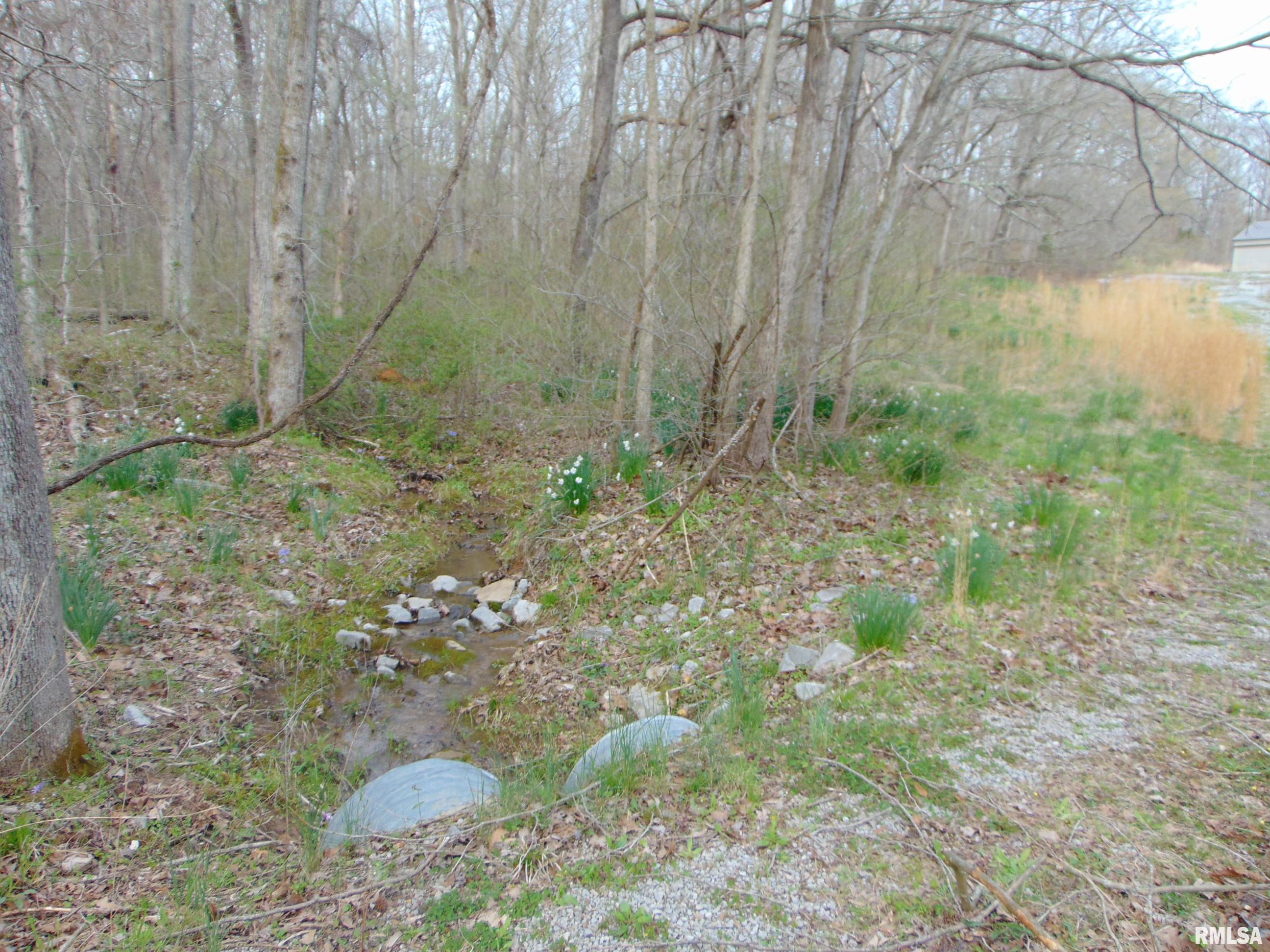 146 Spivey Road Herod, IL 62947 - Photo 6 of 13 Gallery Image 6