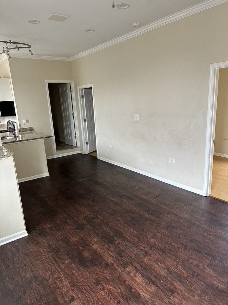 321 West 24th Street, Unit 3R Chicago, IL 60616 - Photo 3 of 11 a view of an empty room with wooden floor and a window