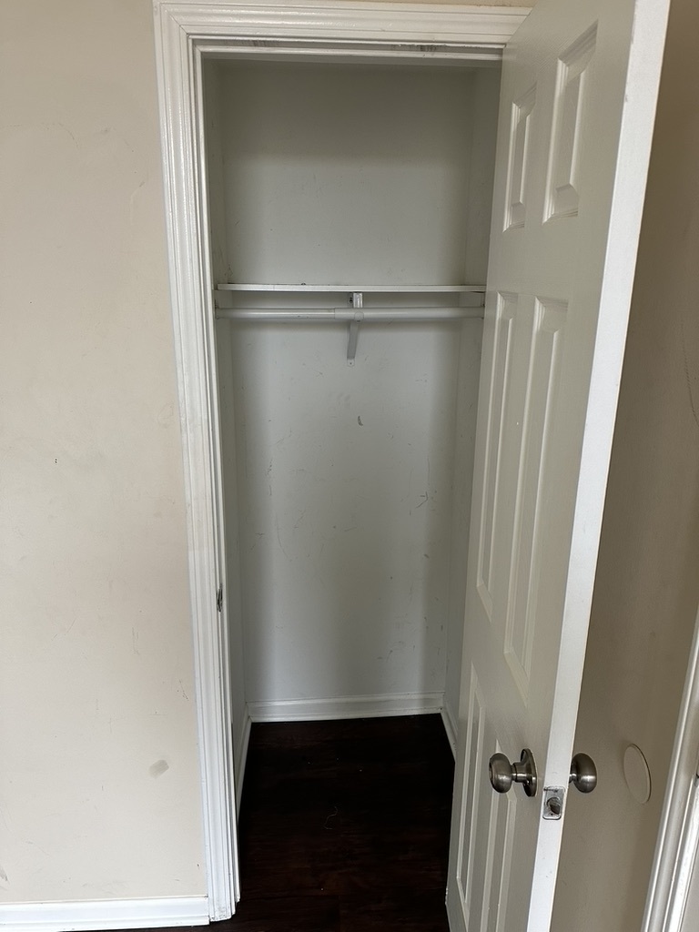 321 West 24th Street, Unit 3R Chicago, IL 60616 - Photo 4 of 11 a view of closet