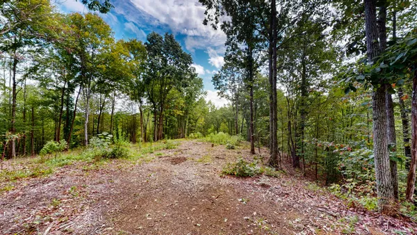 $59,900 | 352 Briarwood Drive, Linden, TN 37096