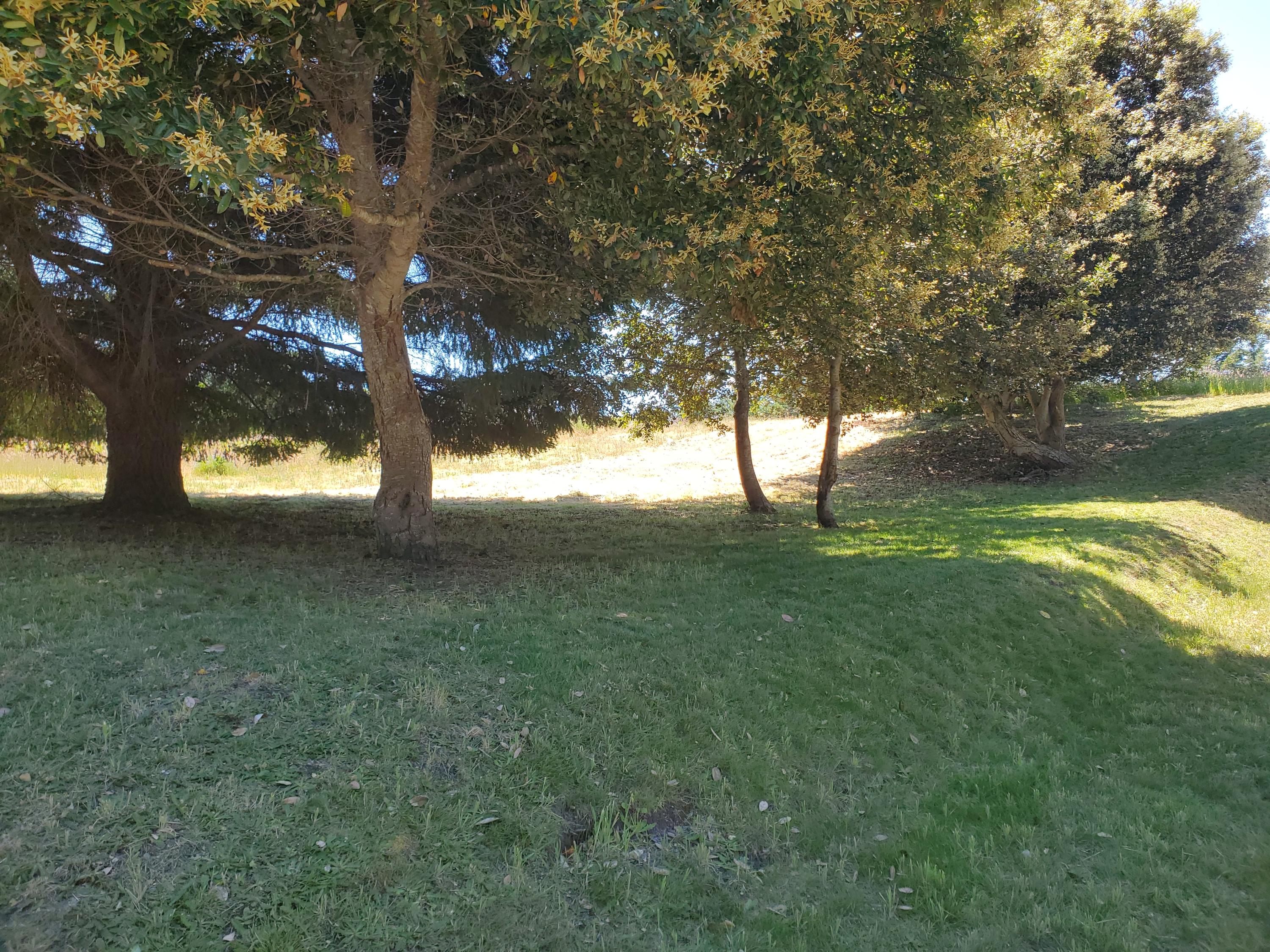 140 Beach Road Whitethorn, CA 95589 - Photo 31 of 37