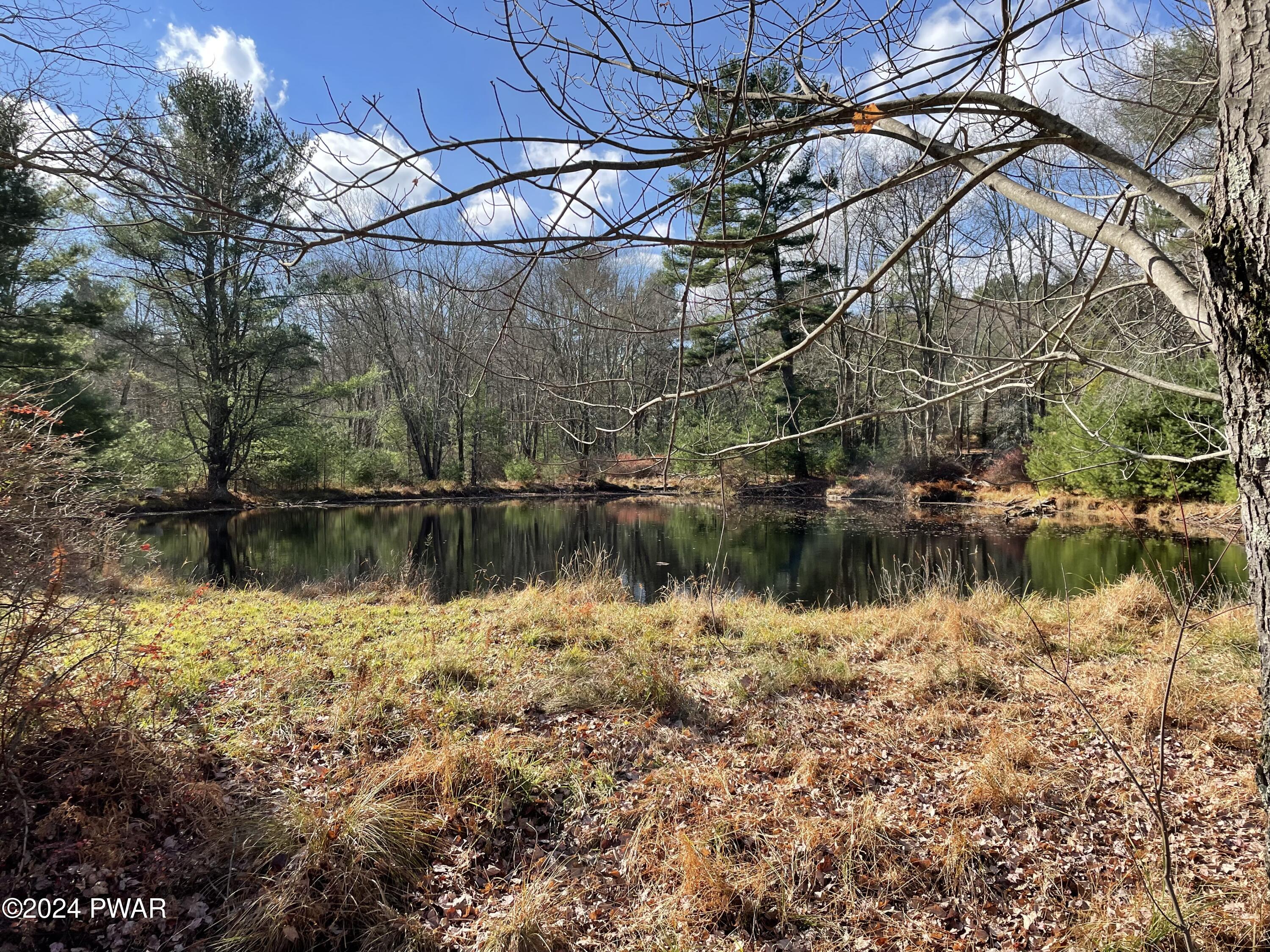 155 Weber Road Milford, PA 18337 - Photo 26 of 26 Pond