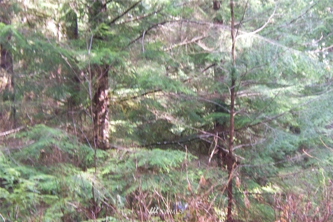 7493 Silver Lake Road Maple Falls, WA 98266 - Photo 4 of 5