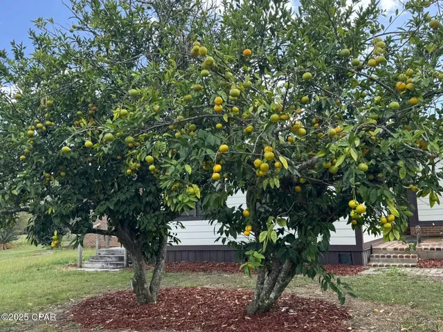 $259,500 | 4845 Rooks Drive, Marianna, FL 32446