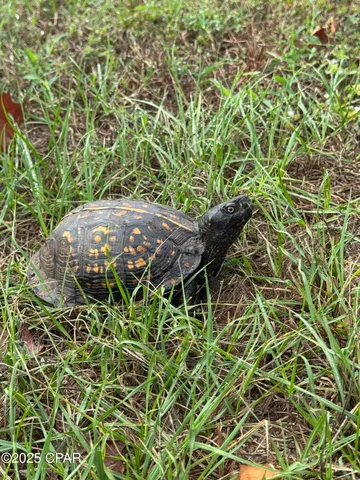 $259,500 | 4845 Rooks Drive, Marianna, FL 32446