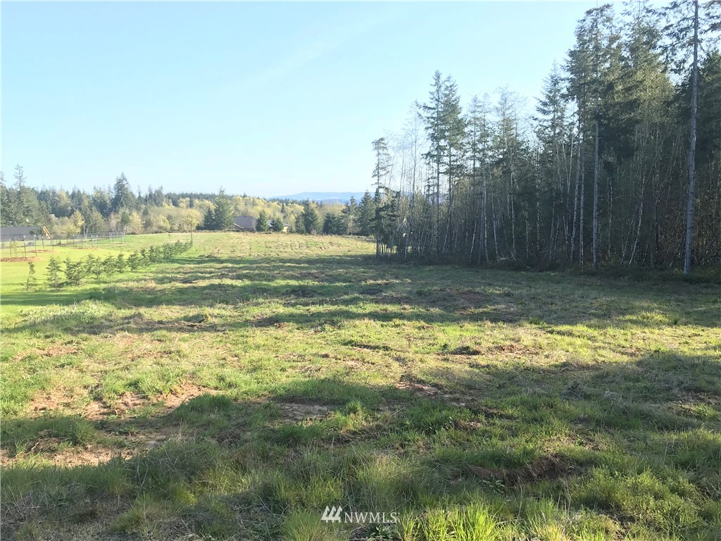 569 Brockway Road Chehalis, WA 98532 - Photo 2 of 8