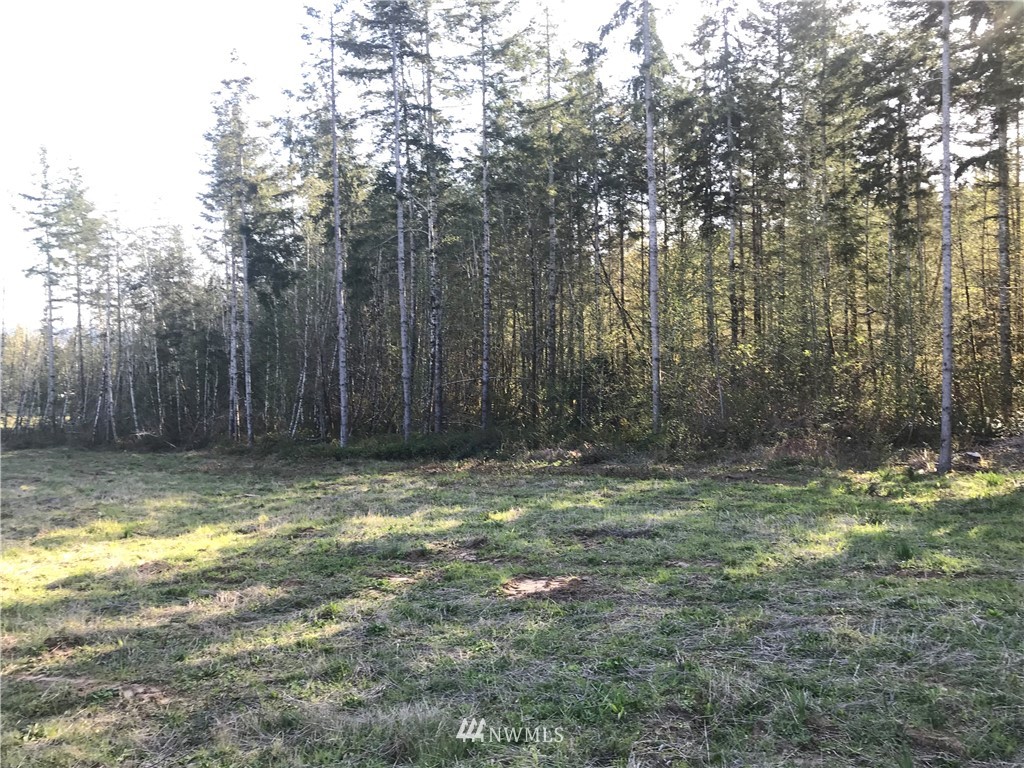 569 Brockway Road Chehalis, WA 98532 - Photo 3 of 8