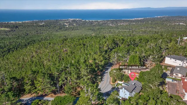 a view of city with lush green forest