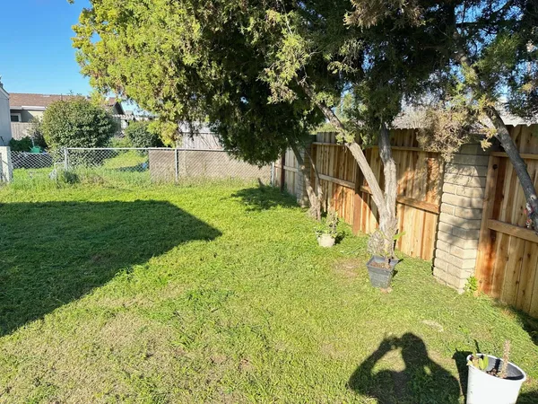 a view of a yard in front of the house