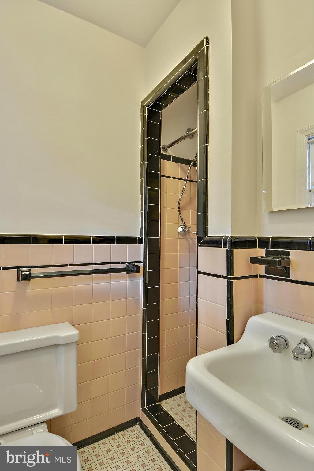 619 Greenbrier Drive Silver Spring, MD 20910 - Photo 13 of 30 a bathroom with a sink and a mirror