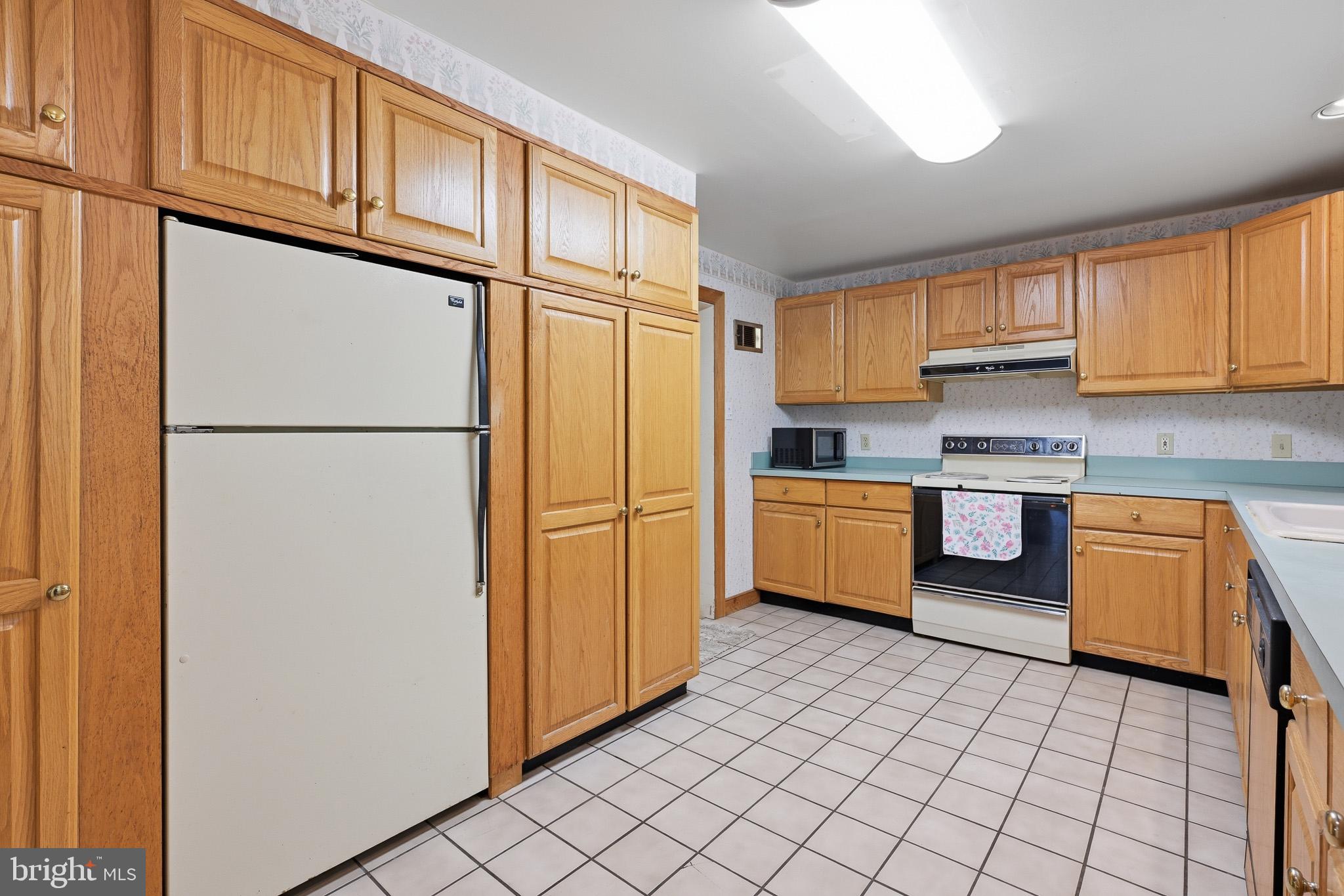 25145 Holly Road Seaford, DE 19973 - Photo 10 of 41 Kitchen with double pantries
