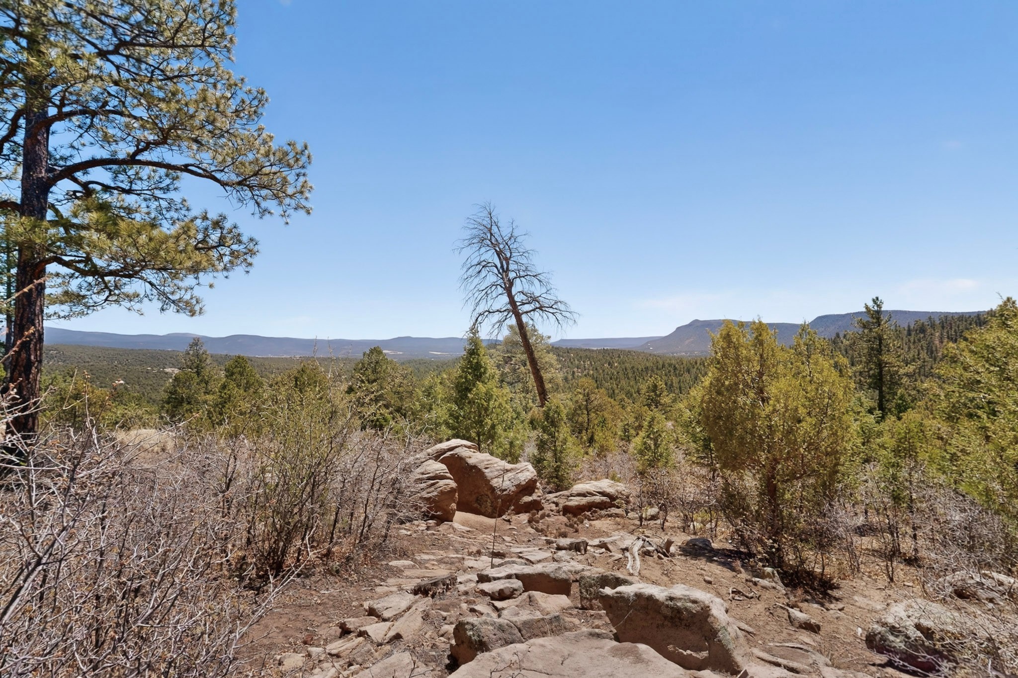 30 Monte La Cueva Road Glorieta, NM 87535 - Photo 81 of 91
