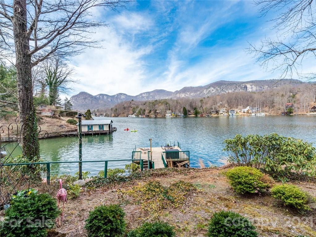147 Lakeview Road Lake Lure, NC 28746 - Photo 29 of 30 Gallery Image 29