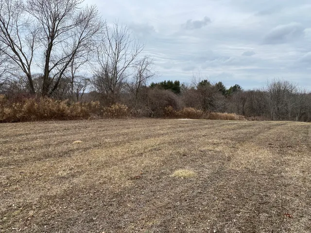 a view of a field with trees in the background