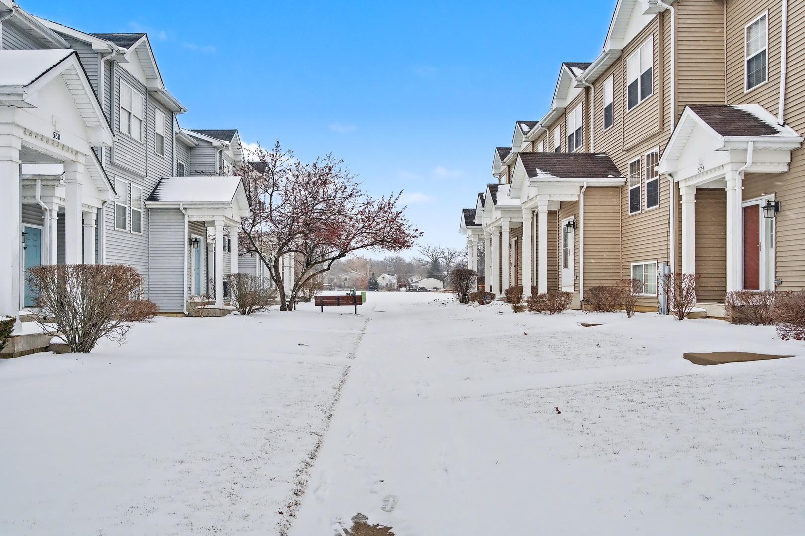 570 Triumph Court Hainesville, IL 60073 - Photo 2 of 2