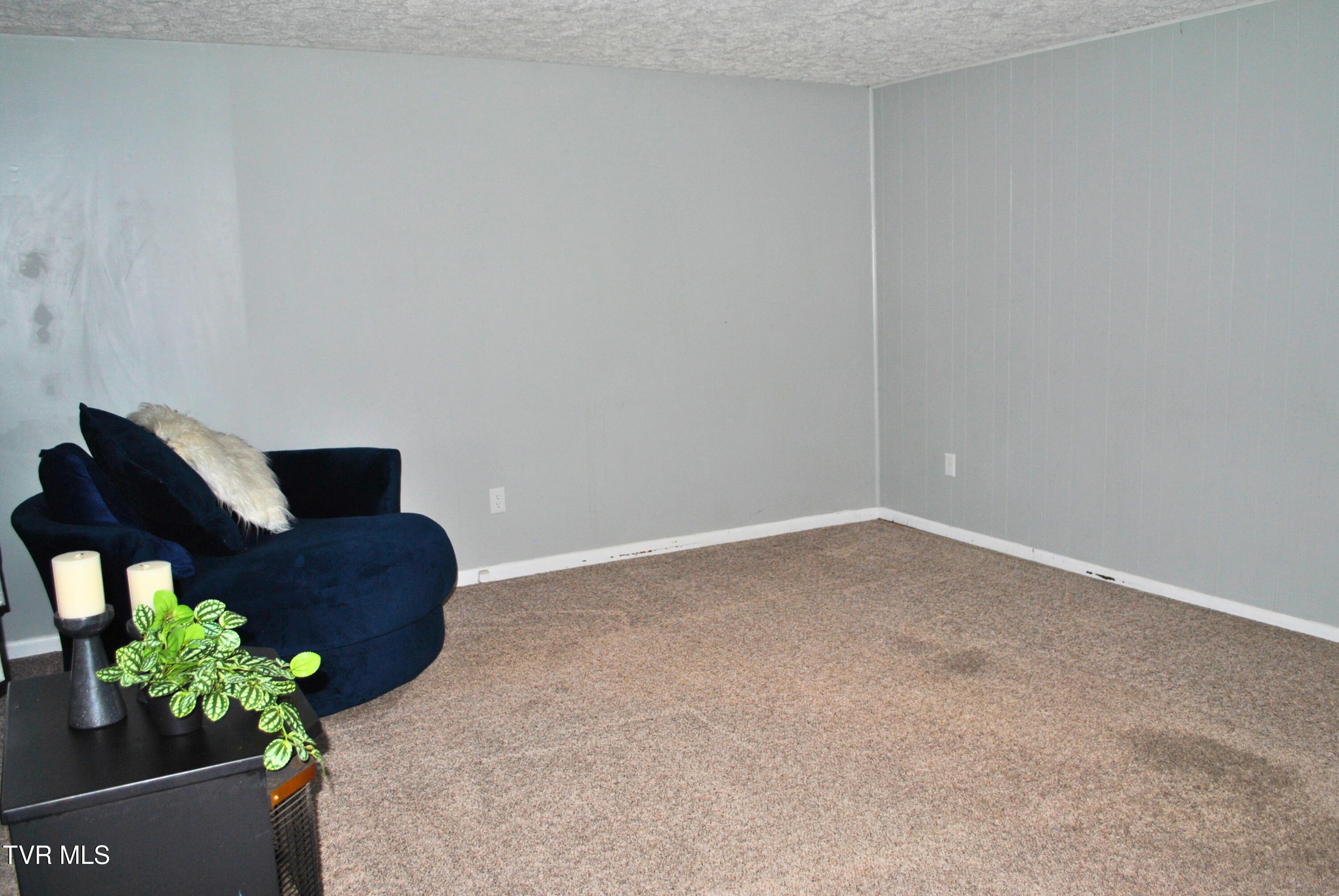 5919 Carters Valley Road Church Hill, TN 37642 - Photo 14 of 37 living room 4