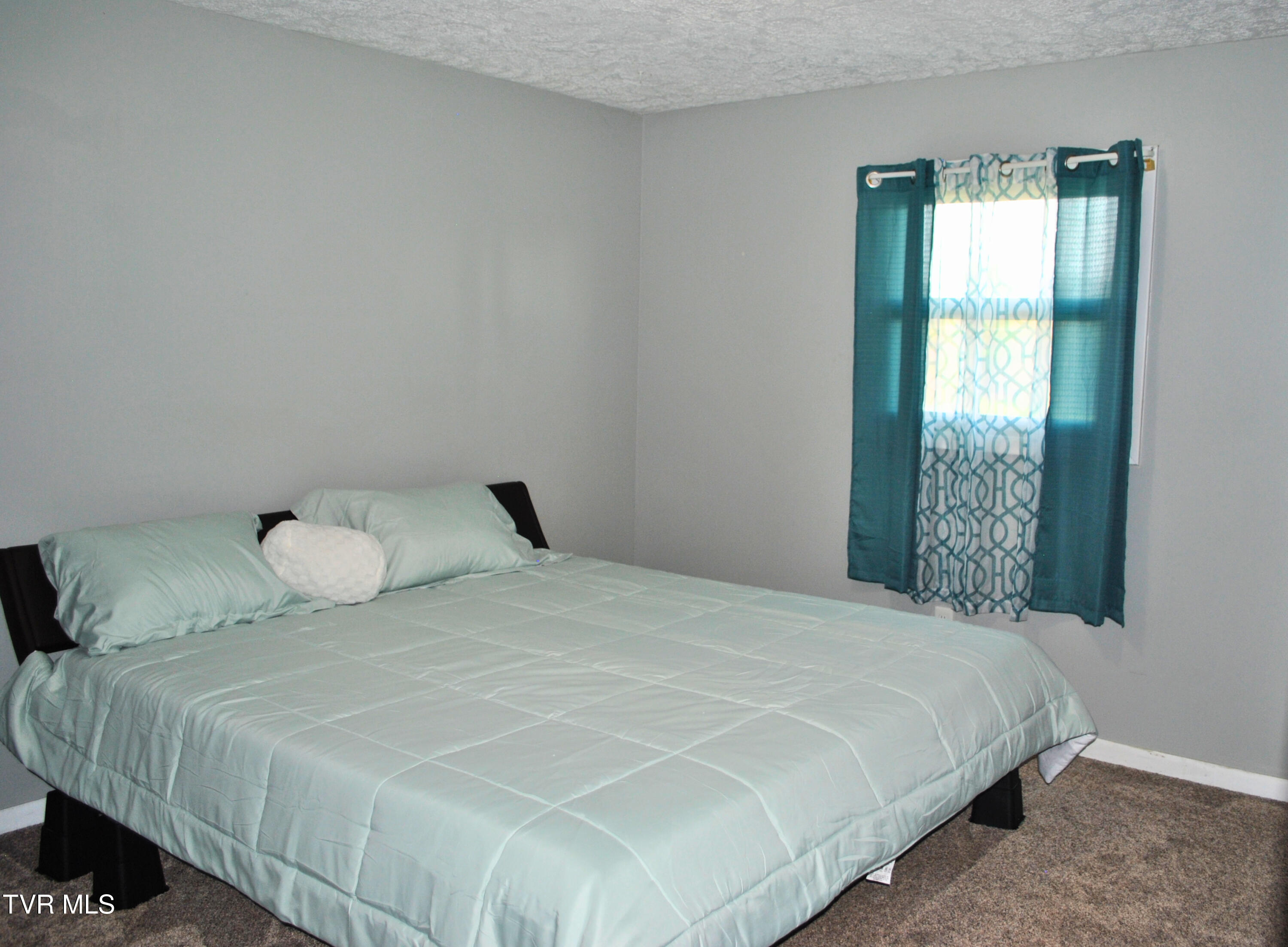 5919 Carters Valley Road Church Hill, TN 37642 - Photo 25 of 37 bedroom 2